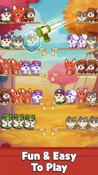 Cat Sort Puzzle: Cute Pet Game  [МОД Много денег] Screenshot 4