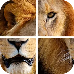 Взлом Угадай животных по фрагментам  [МОД Много денег] - полная версия apk на Андроид