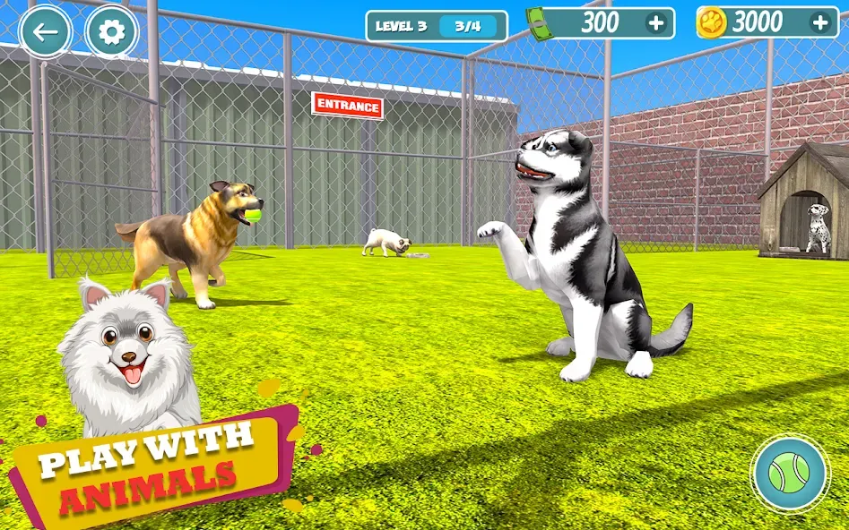 My Pet Animal Shelter World  [МОД Бесконечные деньги] Screenshot 5