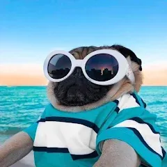 Взломанная 10000 words (десять тысяч)  [МОД Все открыто] - последняя версия apk на Андроид