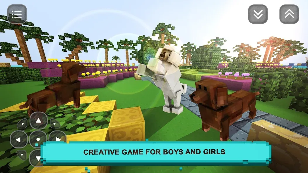 Pet Puppy Love: Girls Craft  [МОД Бесконечные деньги] Screenshot 4